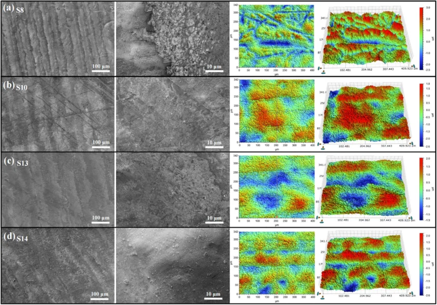 SEM 圖像與表面三維輪廓對比